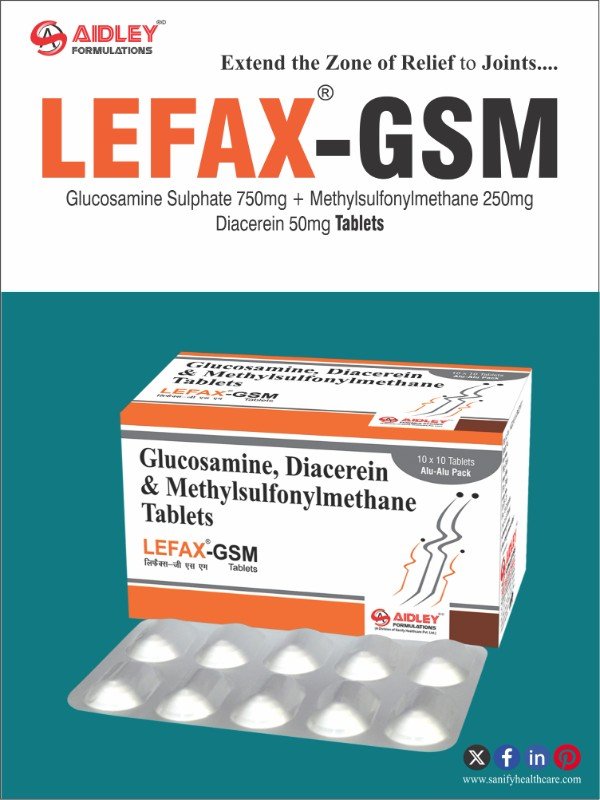 LEFAX-GSM